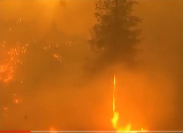 加州山火失控：2天烧了200多平方公里，穿越火区宛若置身炼狱